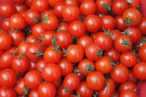 tomaat, tomaten