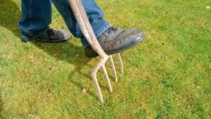 gazon, gras, verluchten, werken in tuin