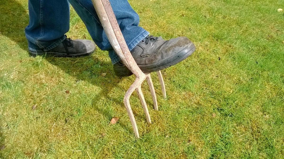 gazon, gras, verluchten, werken in tuin