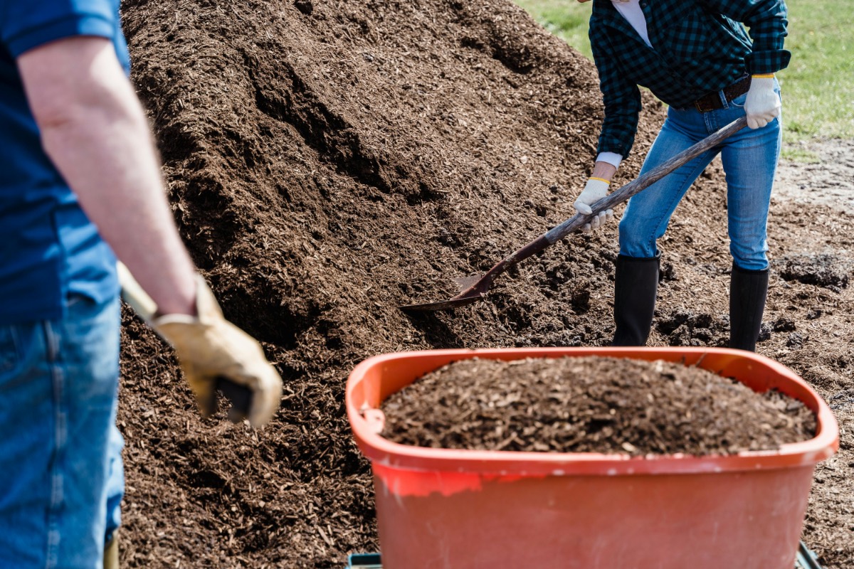 compost