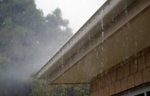 regen