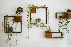 wandplank, kamerplanten, planten, decoratie