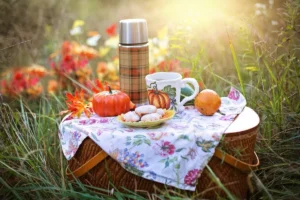 picnic herfst, winter