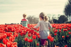 kinderen, tuin, bloemen, tulpen