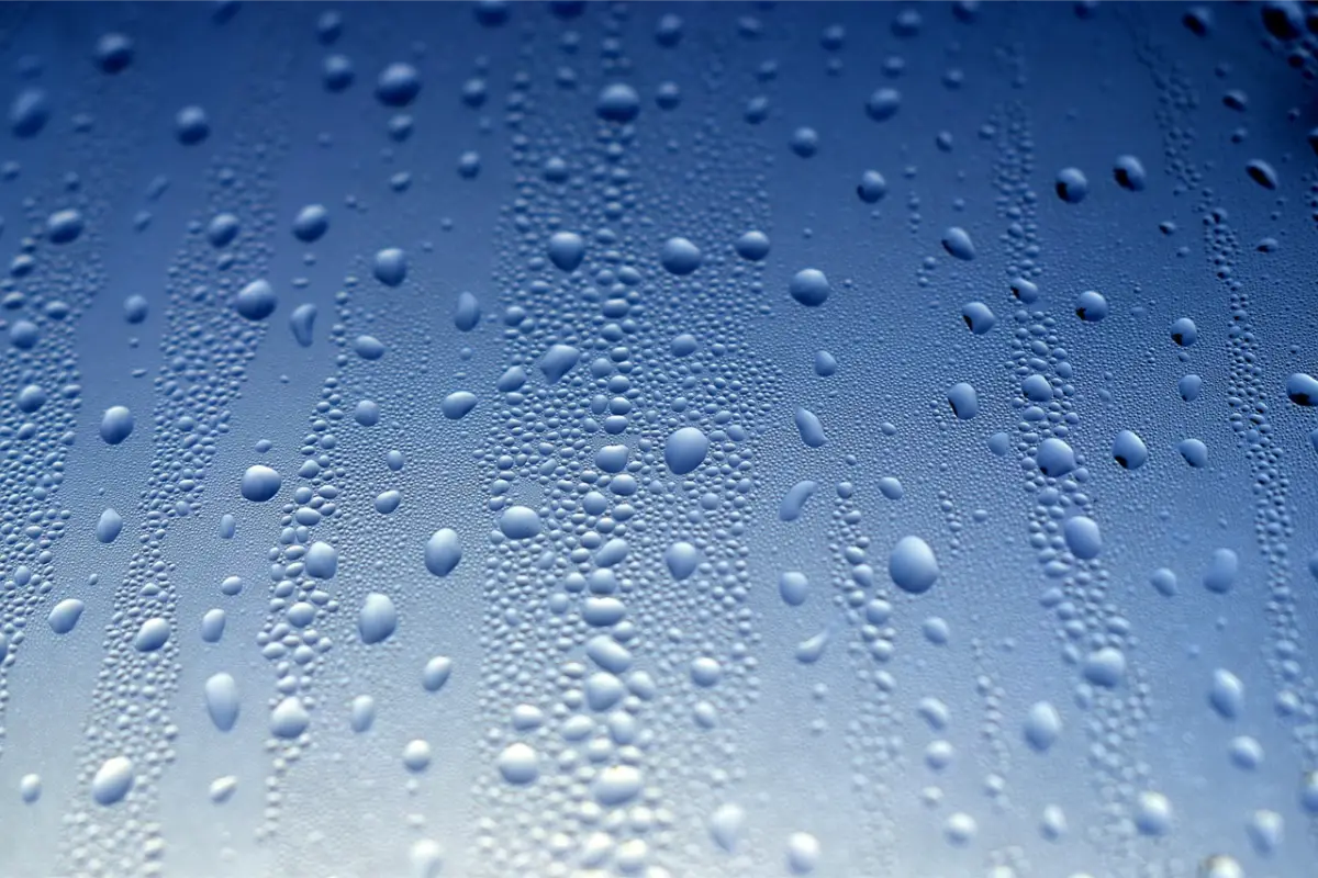 druppels water, vocht