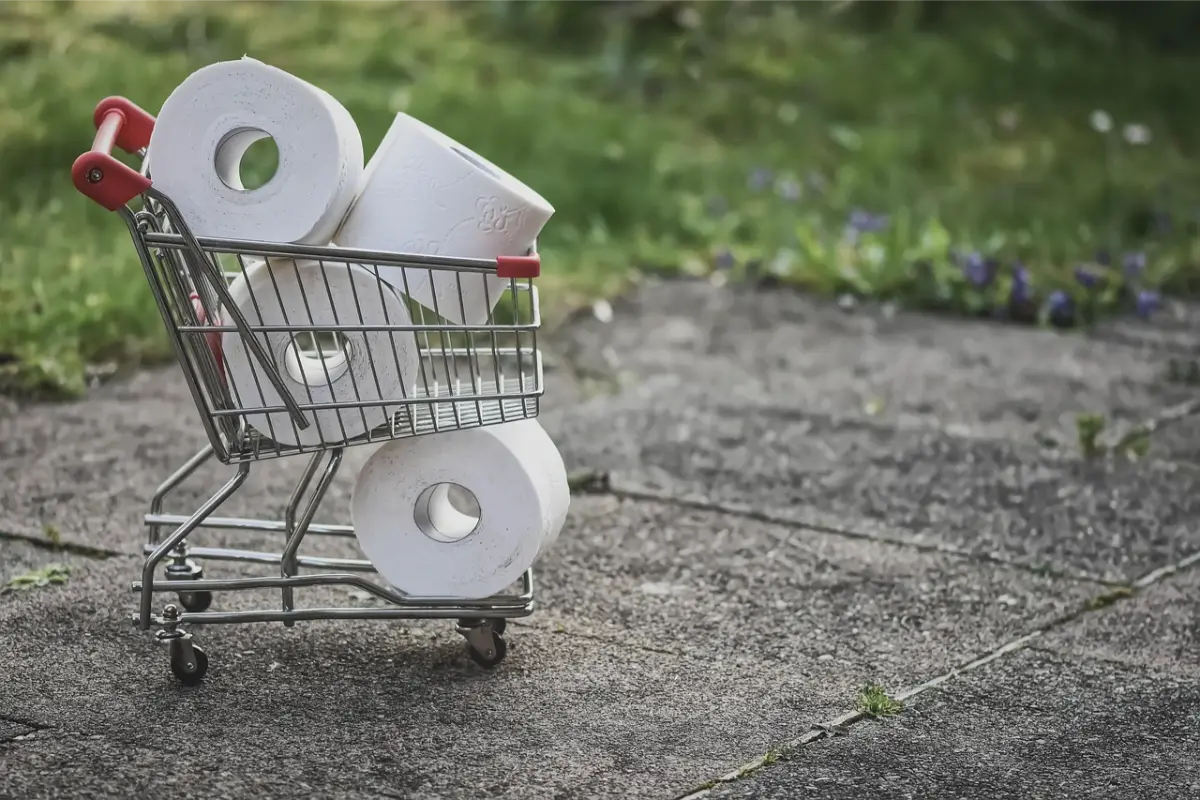 wc-papier, bezuinigen, besparen