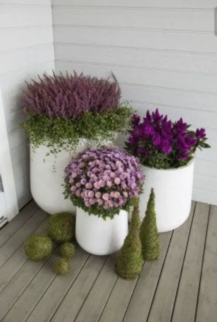 voordeur deco (https://pin.it/6MhaSLA5S)